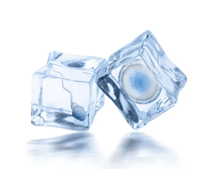 All You Need to Know About Egg Freezing in Singapore