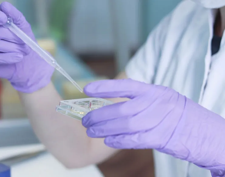 Fresh vs Frozen Embryo Transfer: Which Is Better?