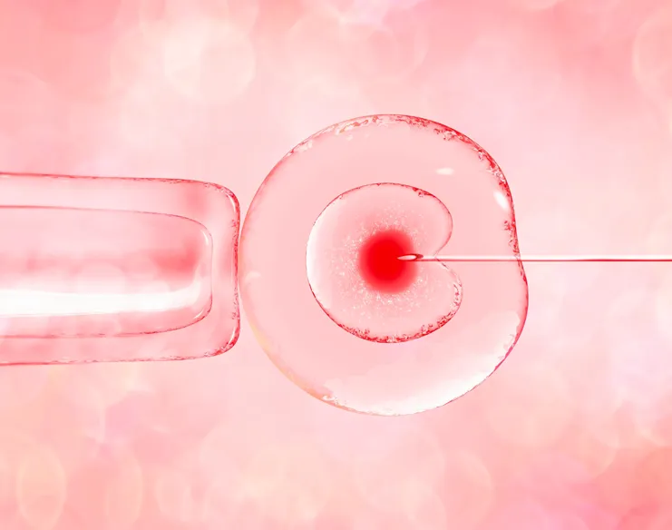 What Happens to Embryos During IVF?