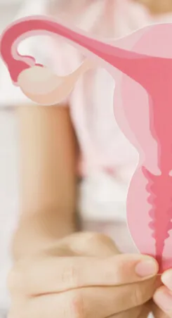 A person holding a pink paper cutout illustration of a uterus.