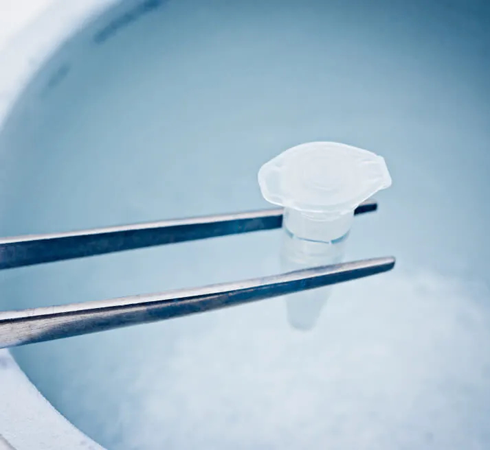 Tweezers holding a small sample vial over a cryogenic storage container.